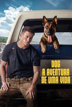 Dog - A Aventura de Uma Vida